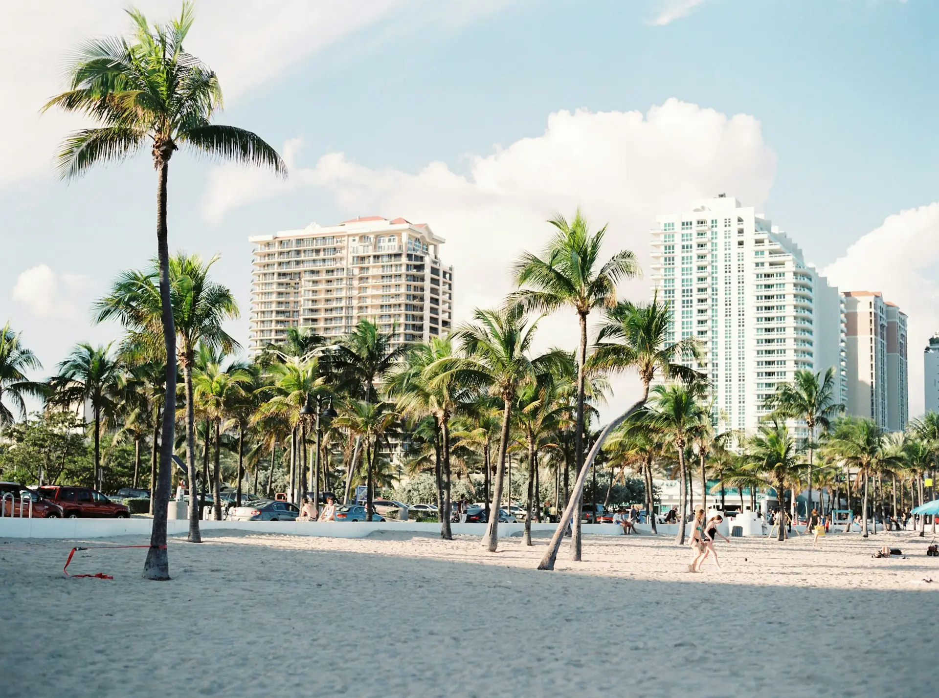 South Florida shoreline with palms and residential towers